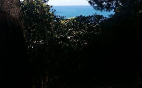 Villa Punta Pispisa